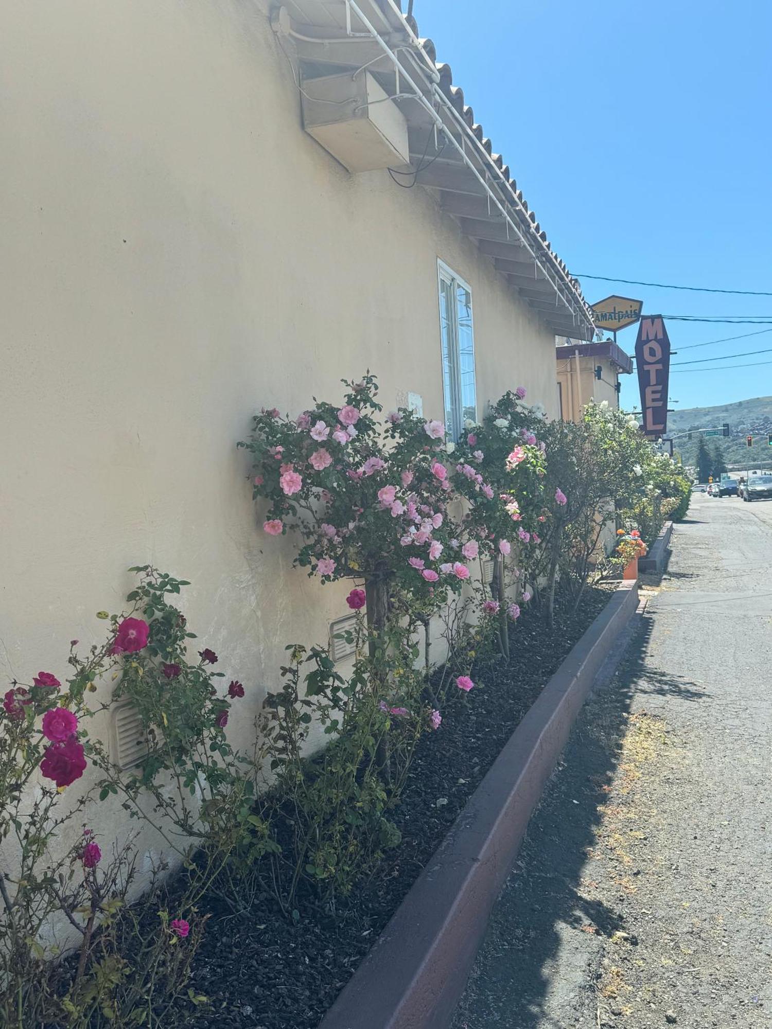 Tamalpais Motel Mill Valley Exterior photo